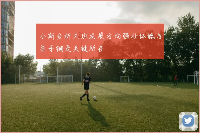 小斯分析文班发展方向强壮体魄与杀手锏是关键所在